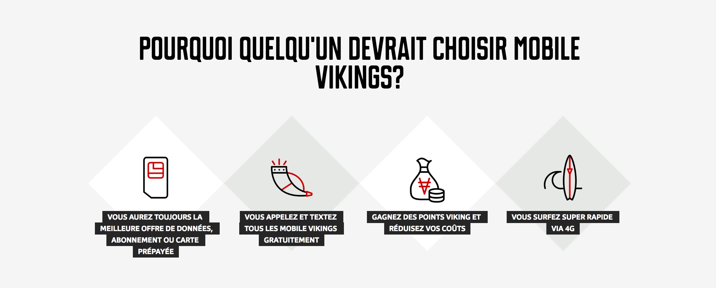 pourquoi choisir mobile viking
